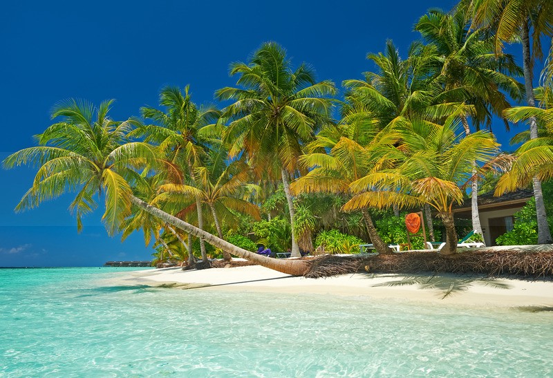 0124_76 - Maldives