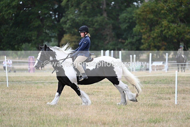 WJ7_5119 - Class 12 Ridden Cob