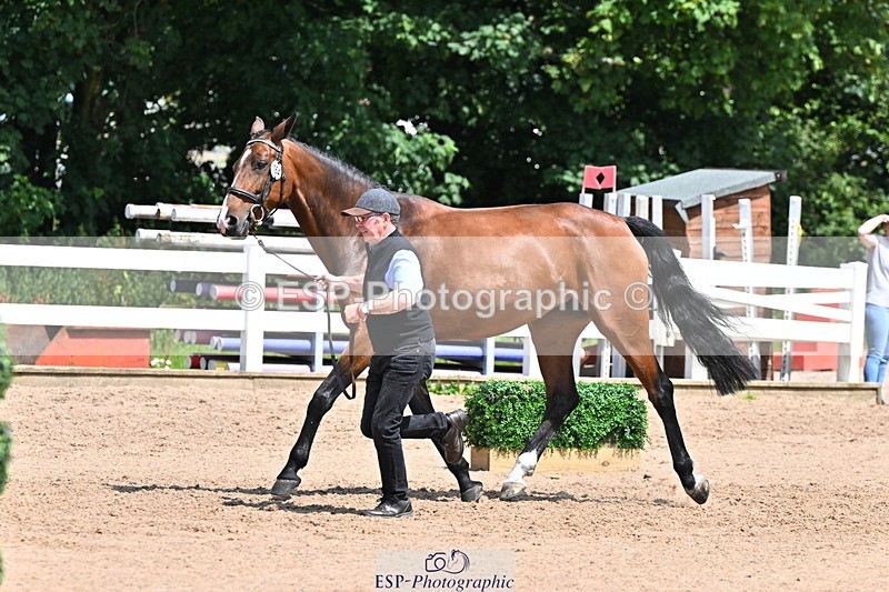 240718A-105300-01441 - Trot Up 12pm to 1pm