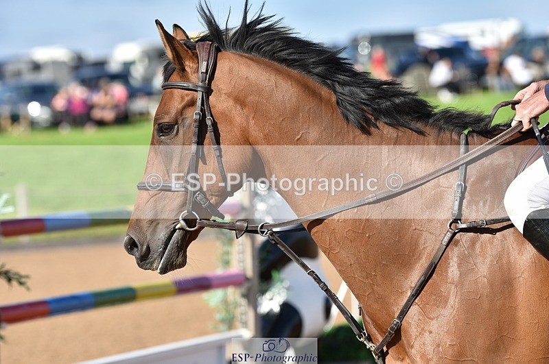 230811A-171316-07125 - Cls 25Nat 1.40m Open