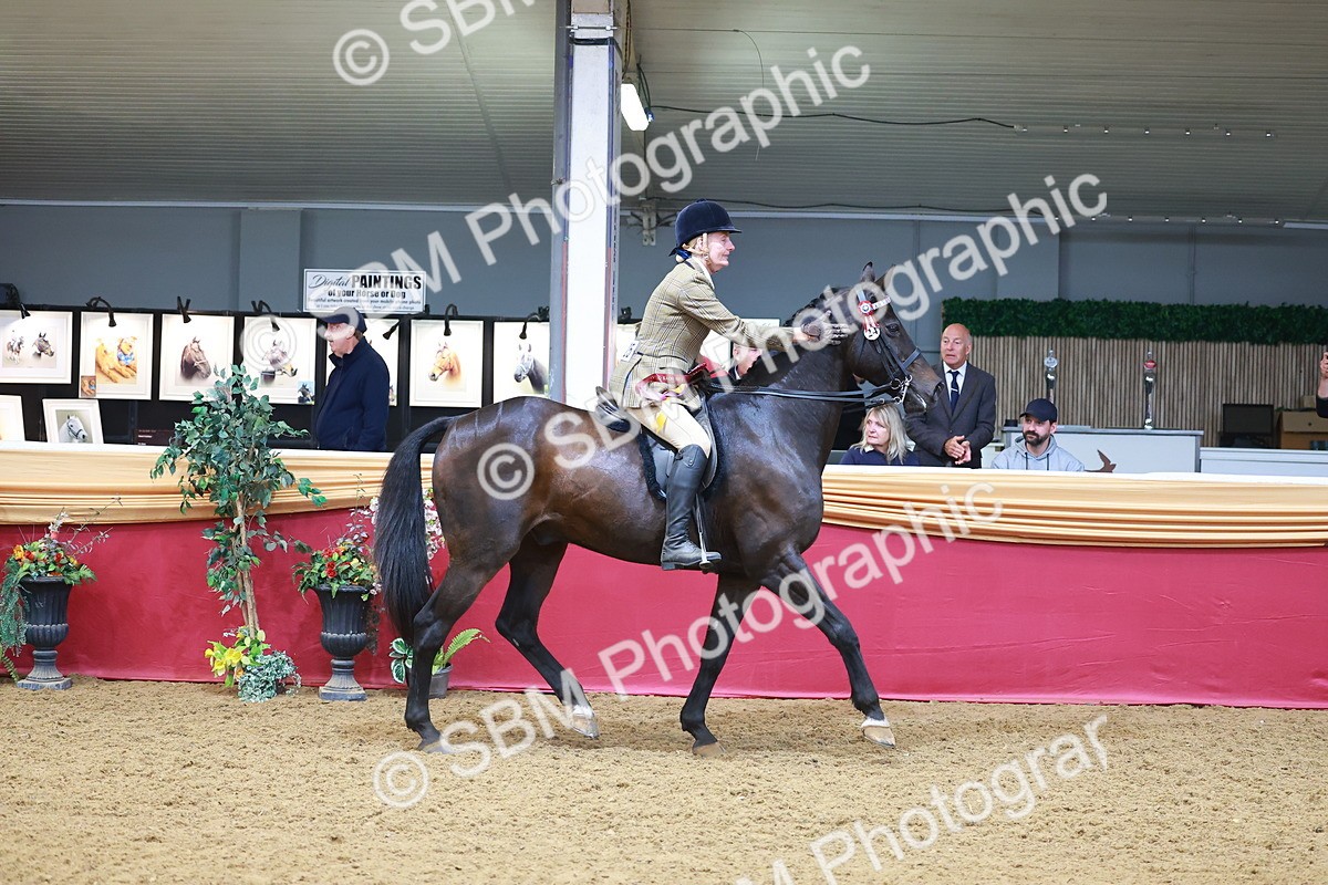 SBM_09891 - Class 102 - HOYS Veteran Qualifier - Ridden Veteran
