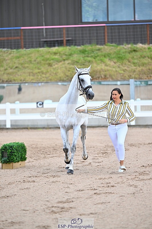 240718A-105324-01965 - Trot Up 2pm to 3pm - This folder is not in time order
