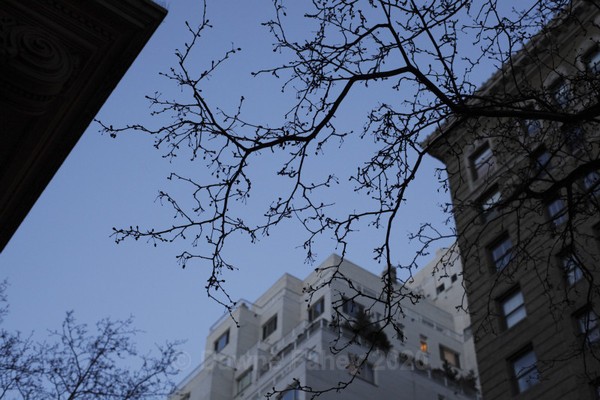  - New York