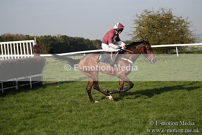 PtP 210418 643 - South & West Wilts Point-to-Point Larkhill 21/04/18