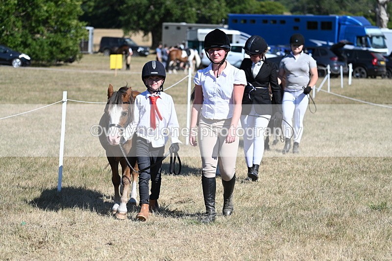 WJ7_1843 - Class 43 Best Six Legs (In hand)