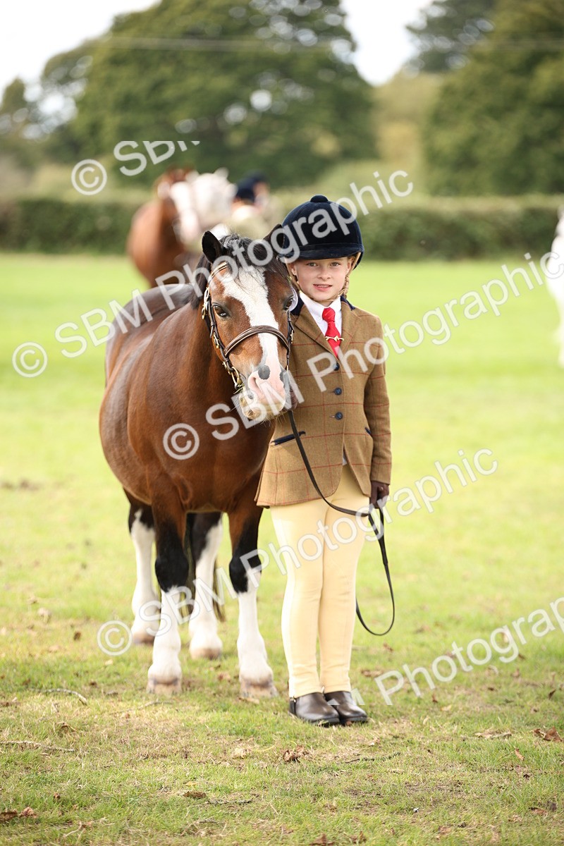 SBM_44508 - S24 - Young Veteran in hand