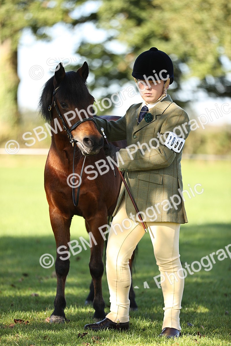 SBM_15823 - S1 - TSR in Hand Horse & Pony Showing