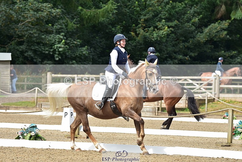 250719A-102152-03641 - 086-Alison.Nicoll-Moondust