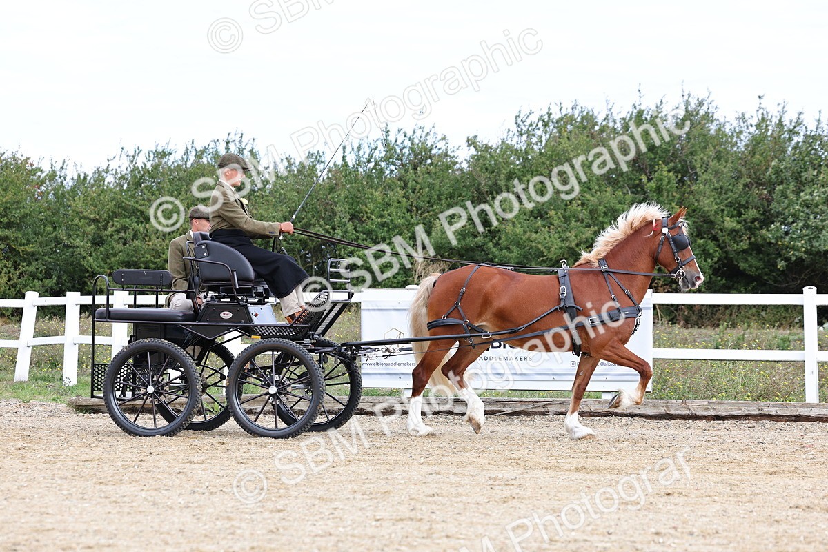 SBM_000748 - Class 6 - Exercise Vehicle 13.2 and over