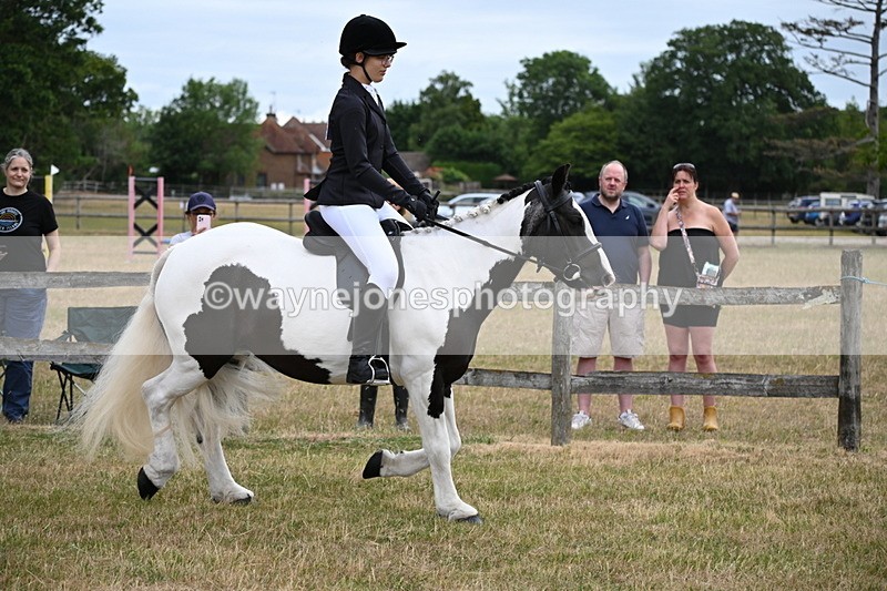 WJ6_3914 - Class 9 Tack & Turnout