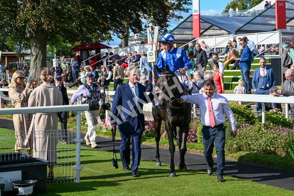 240824-Race 5-Elmonjed-1573 - Race 5 4.10pm Sky Bet Constantine Handicap