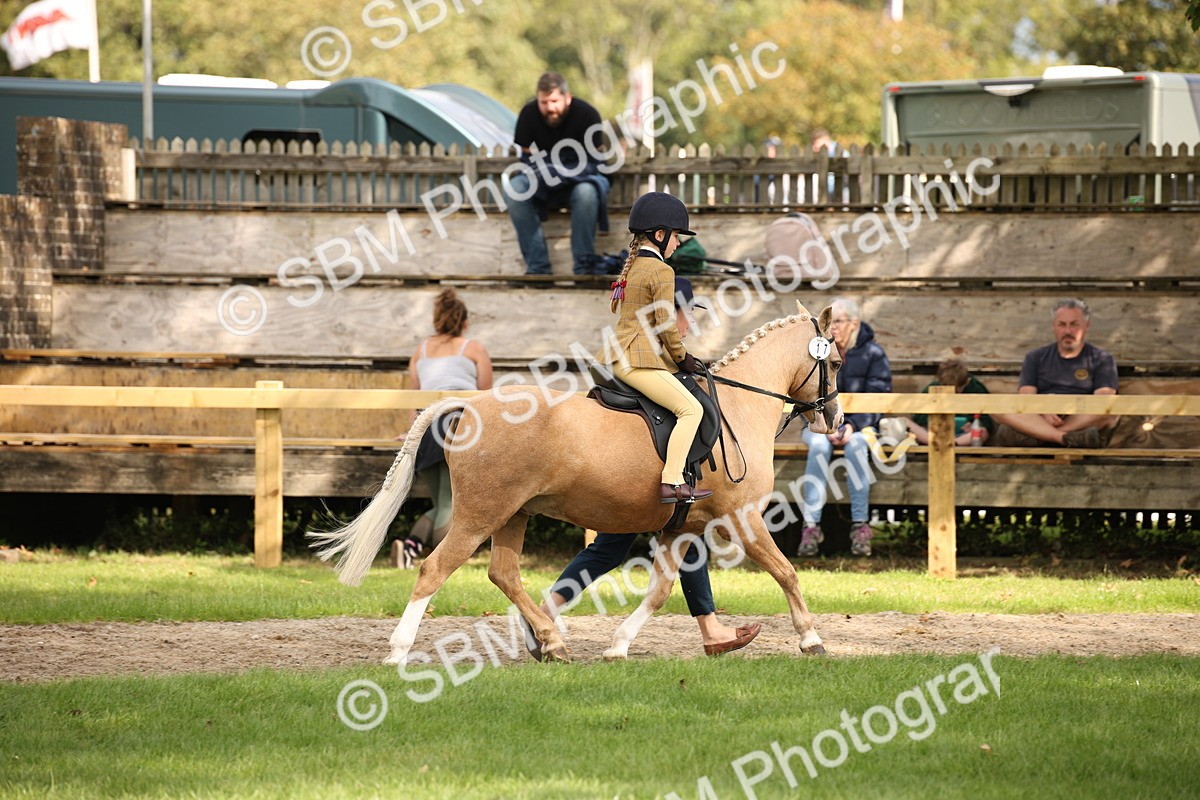 SBM_49988 - S26 - Young Veteran - Ridden