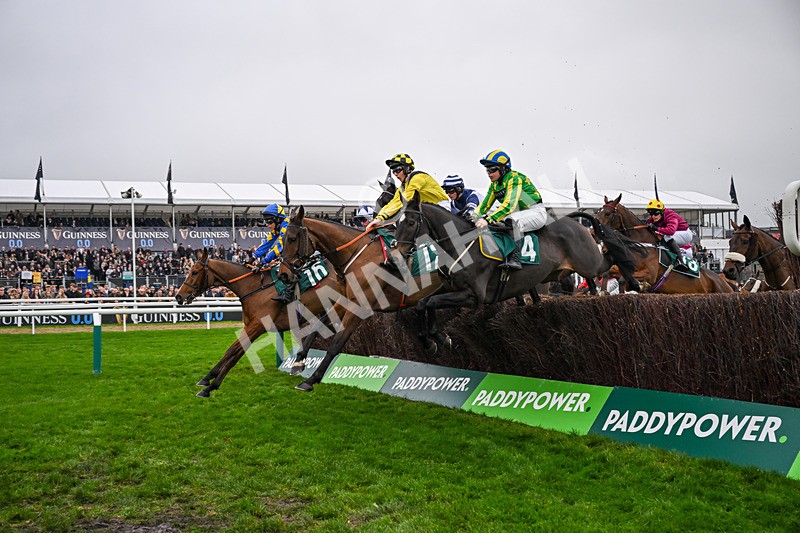 151125-Race 2-Cheerful Chap-2774 - Race 2