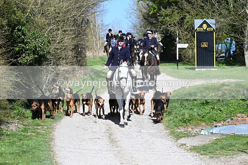 WJ7_9647 - Home for hunt tea !