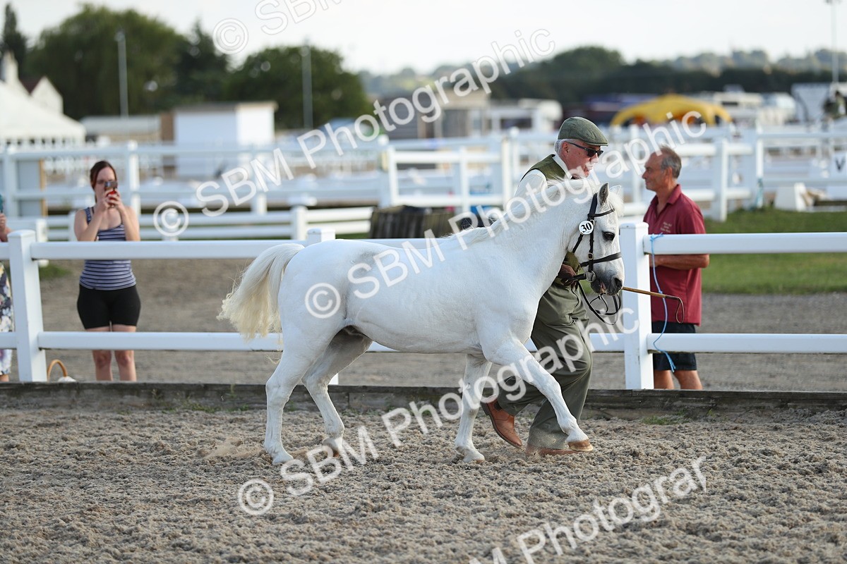 SBM_08918 - Class 29 IH Veteran Pony