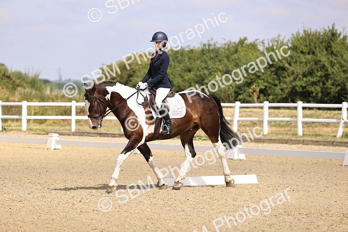 SBM_006559 - Intro 3 - 9.46-10.46