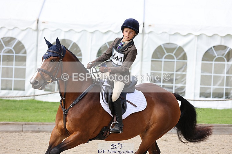 240823X-161012-19572 - 70cm Single Phase All