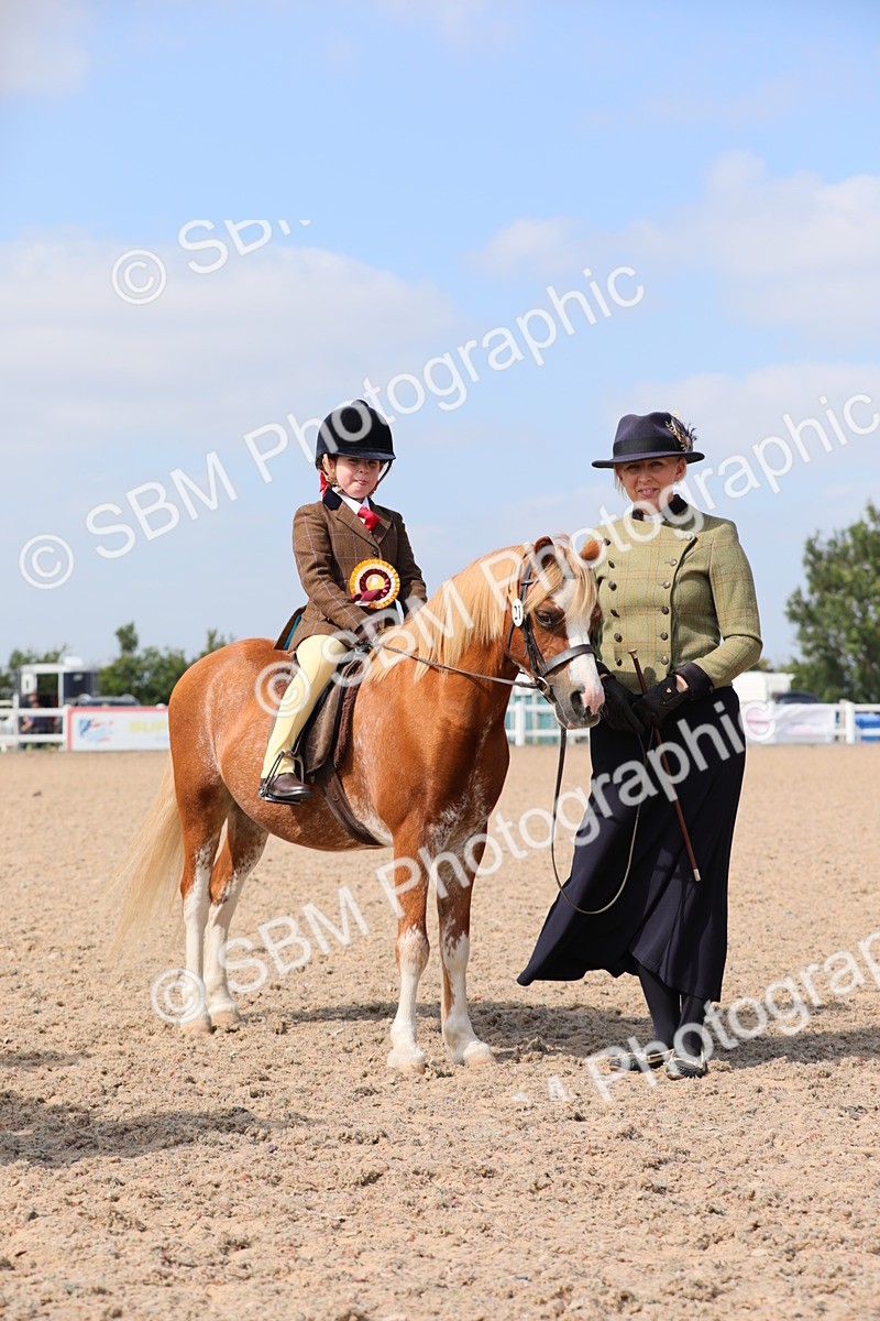 SBM_14106 - Class 309 Lead Rein Pony