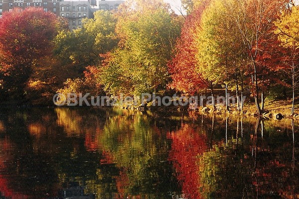  - Central Park