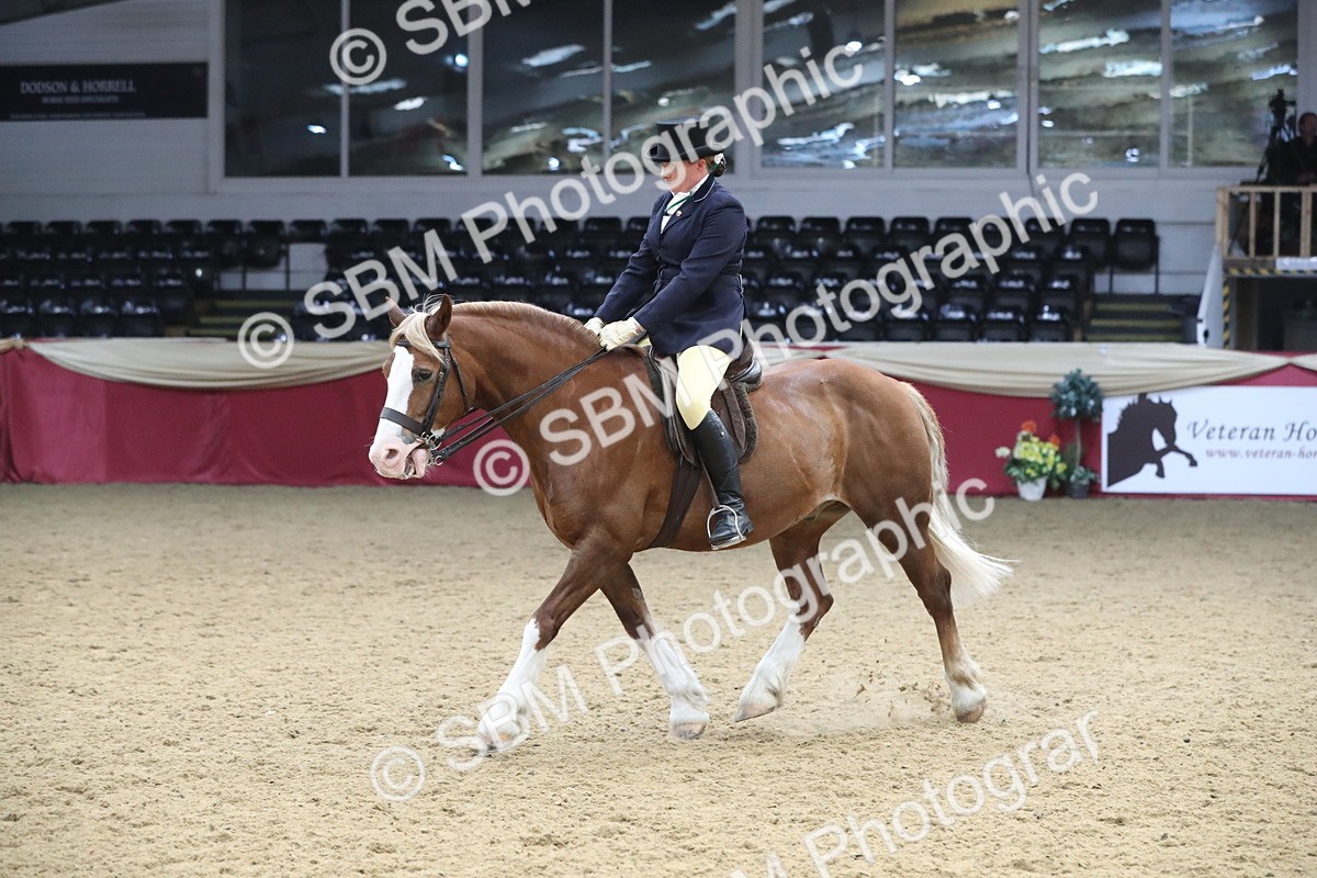 SBM_16356 - Class 502 M&M Ridden Supreme Final