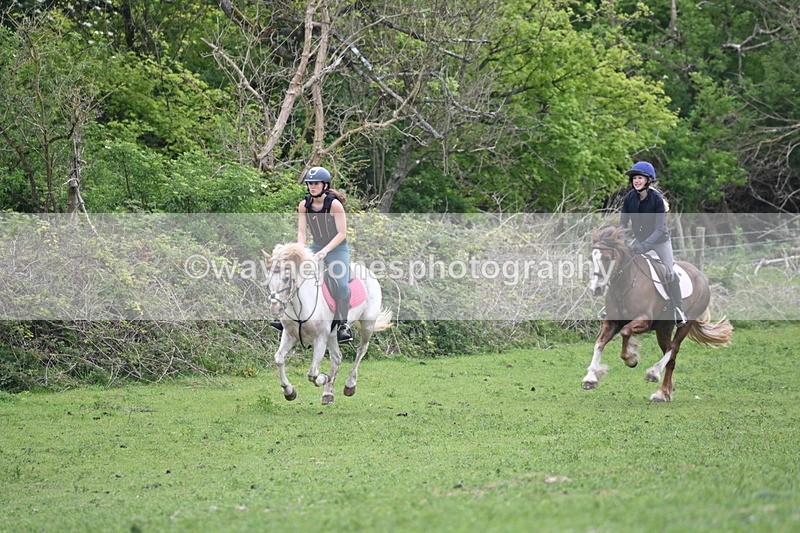 WJ6_3288 - A camera