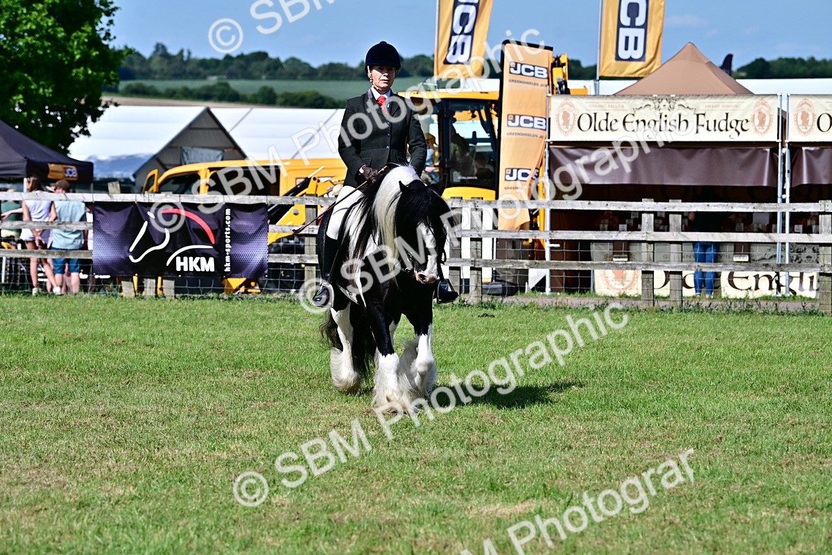 SBM_09346 - Class 63-65 - Traditional Gypsy Cobs In Hand & Ridden