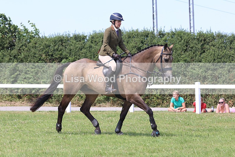 JPP_3223 - Class 22: Working Hunter 70cm