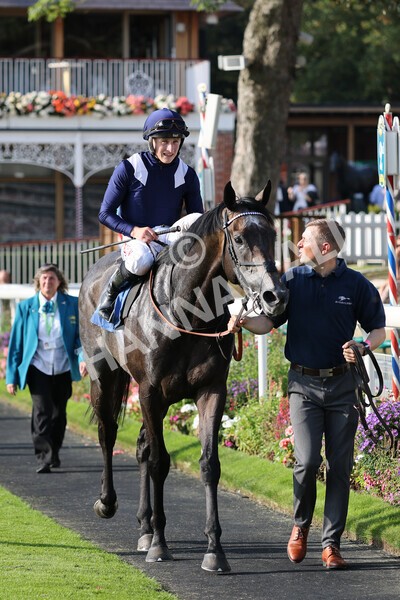 yr05092021r6-16 - Race 6 4.50pm Hanson Spring Stakes