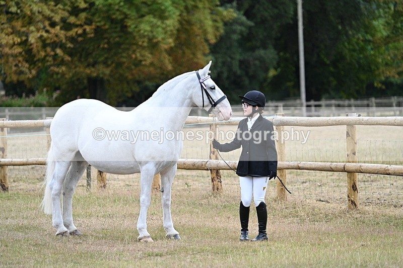 WJ7_8851 - Class 4a Prettiest Mare 14.2hh and over