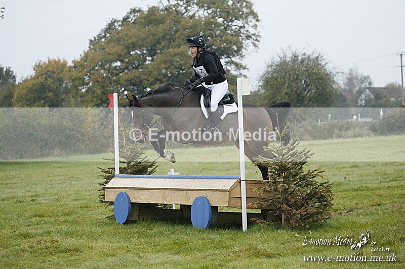 WWHT 181020 WWHT 181020 217 - WWEC Novice Restricted (0.80m) 18/10/20