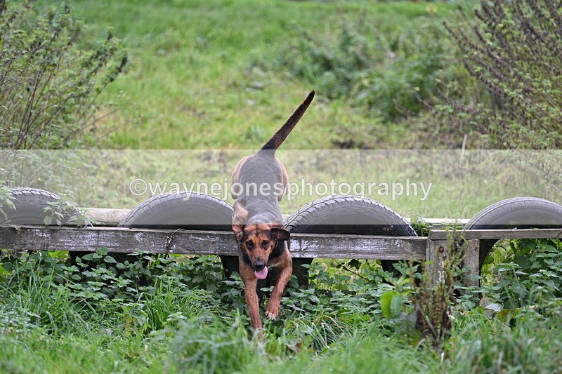 WJ7_8948 - Camera 1 only on this line