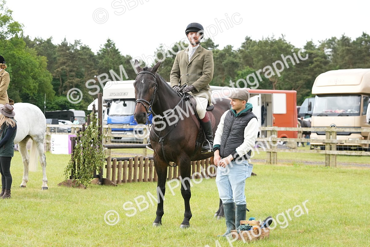 SBM_12782 - Class 97-98 - LIHS BSHA Rising Star Working Show Horse Hunter