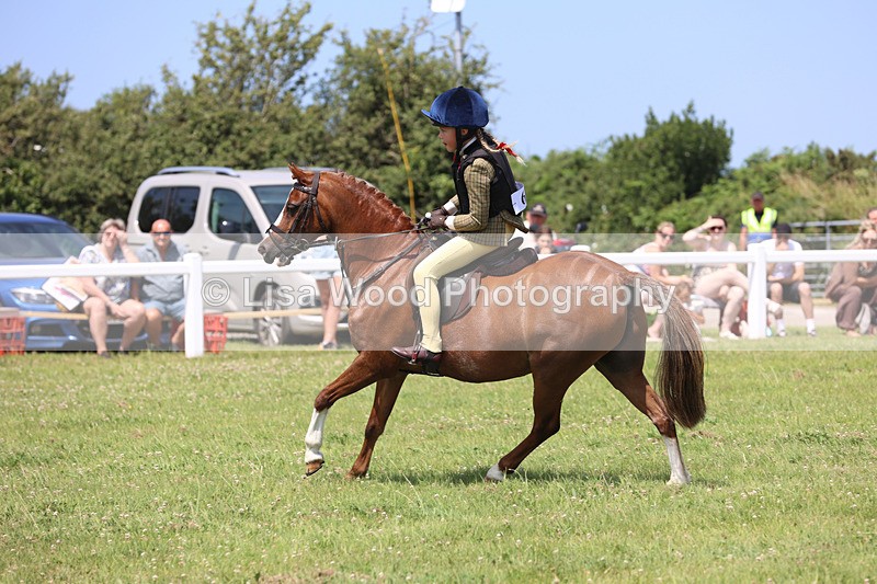JPP_2512 - Class 21: Working Hunter 60cm