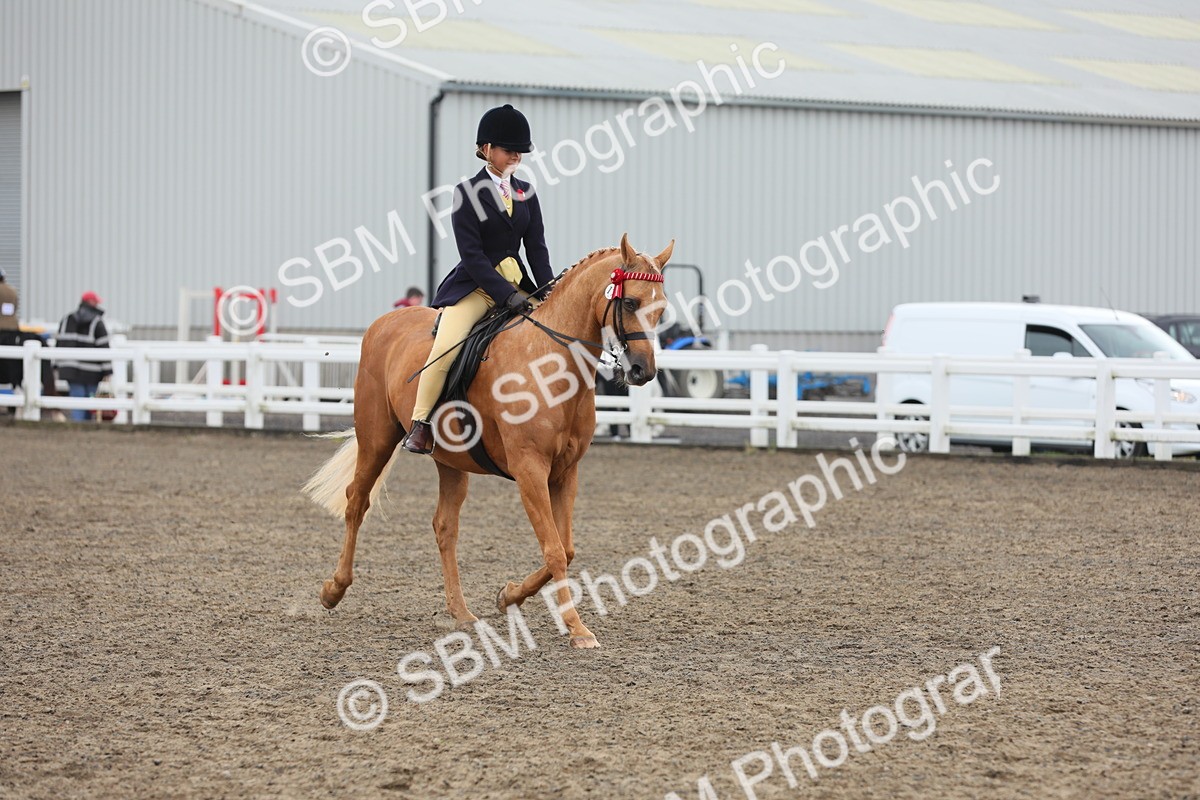 SBM_22329 - Class 807 - Young Rider 11 to 16 Yrs