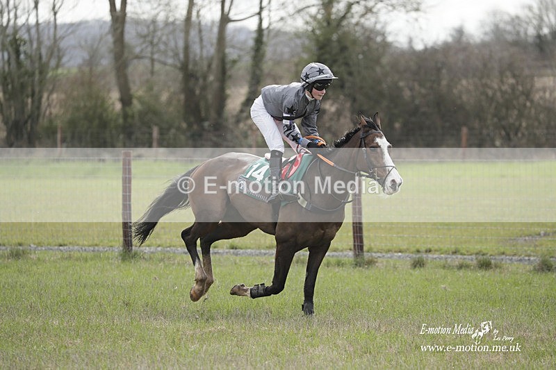 PtP 180323 144 - Shelfield Park Races with Croome & West Warwickshire Hunt  18/03/23