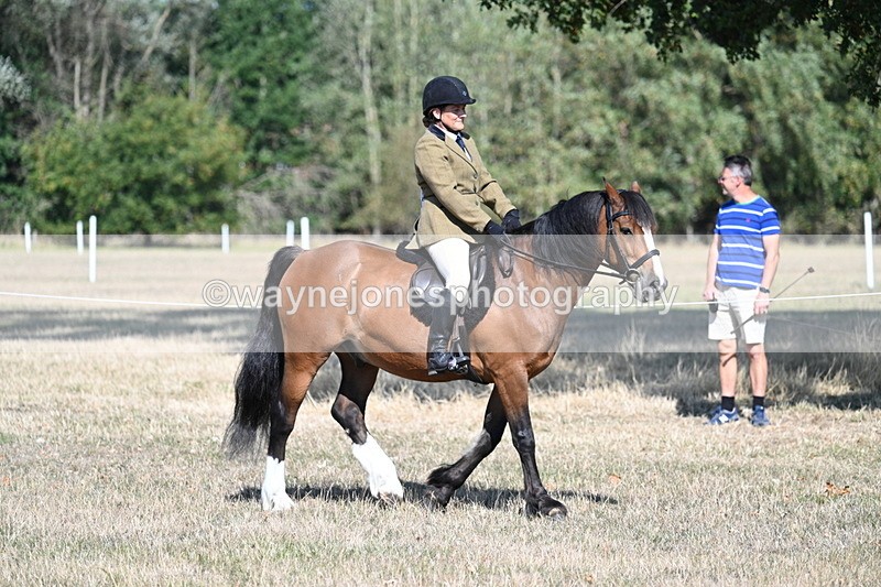 WJ7_3427 - Class 9 Mountain & Moorland Ridden