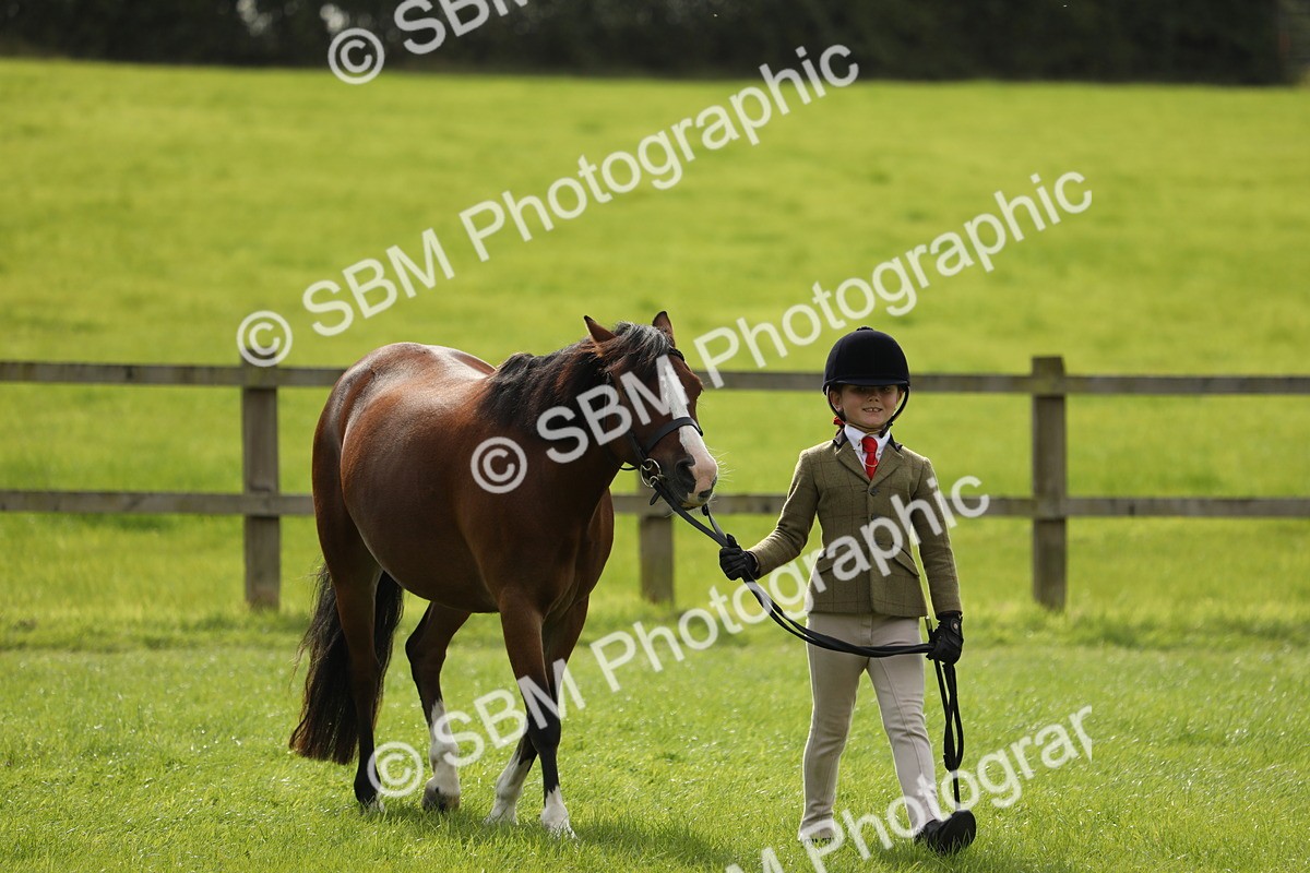 SBM_67689 - S39 - Junior Handler 8  Years & Under