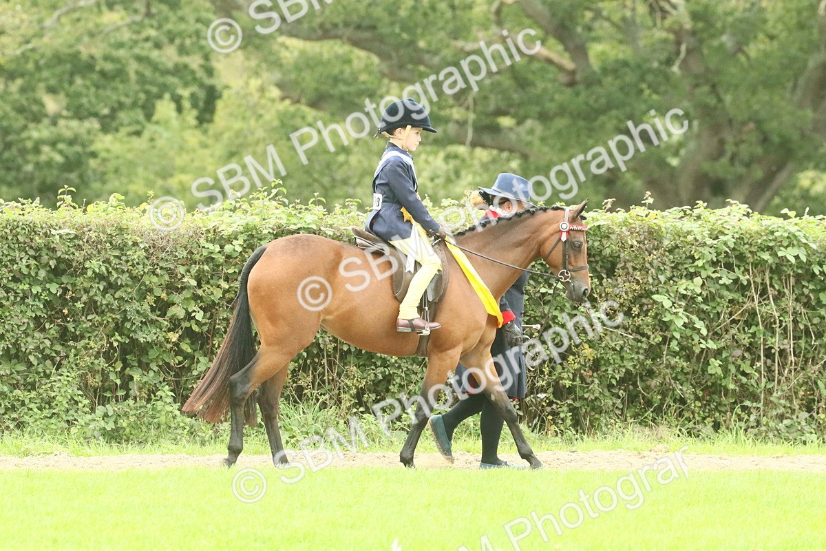 SBM_75130 - Super Supreme Championship