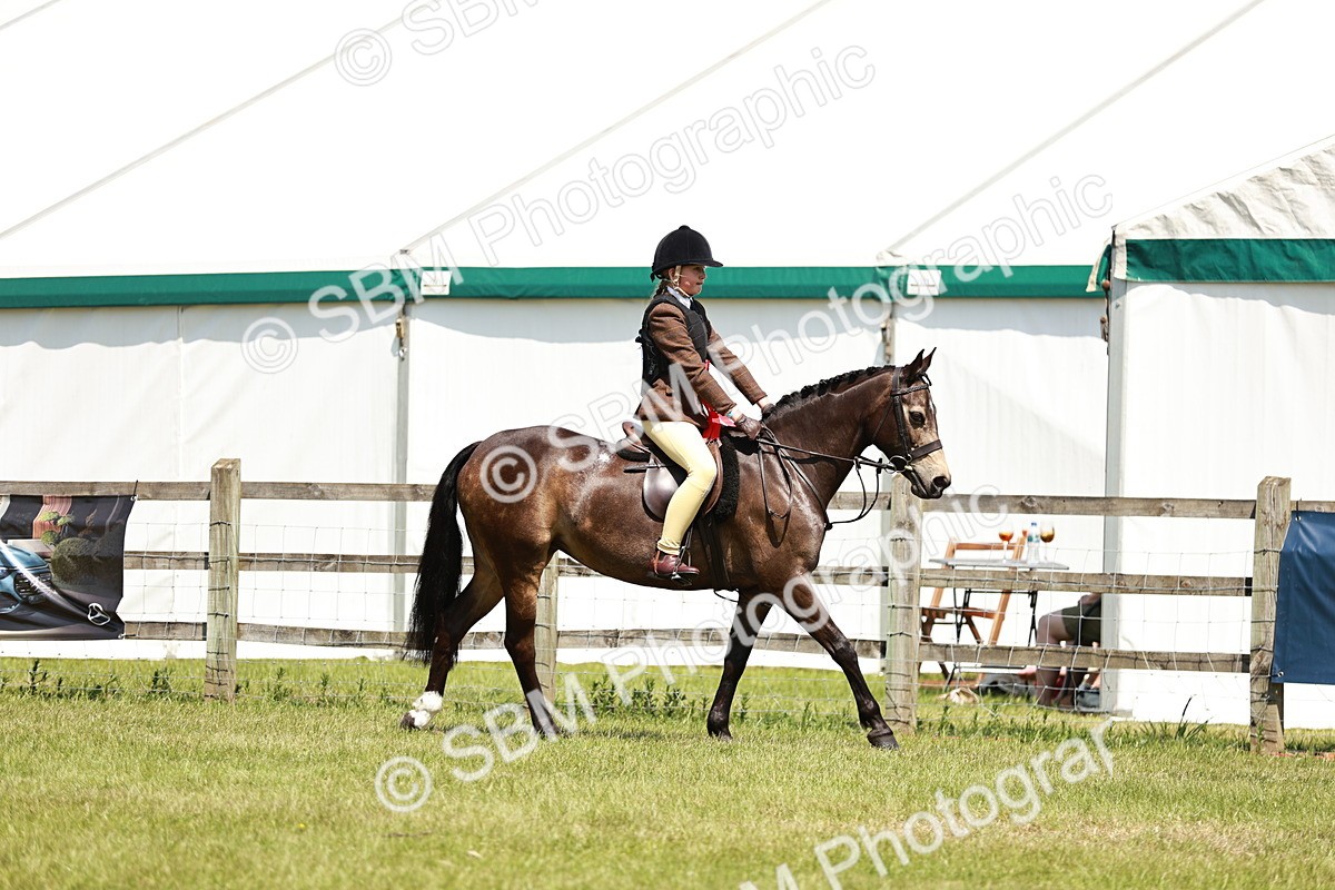 SBM_15769 - Class 108-109 - BSPS LIHS Open Gradle & Nursery Stakes