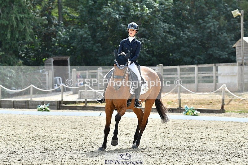 260802A-153426-07491 - Intermediate Bronze