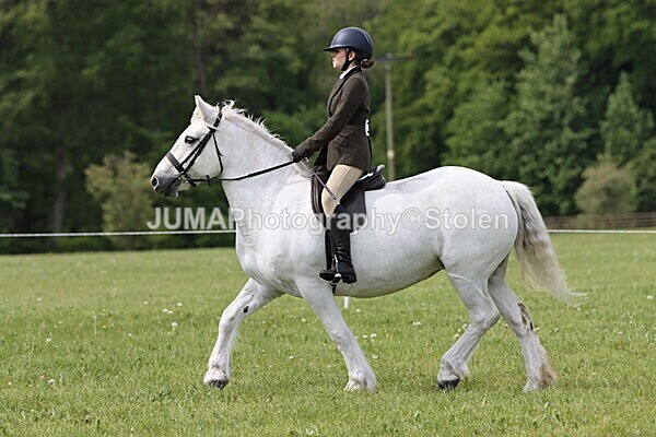 IMG_2701 - Working Hunter