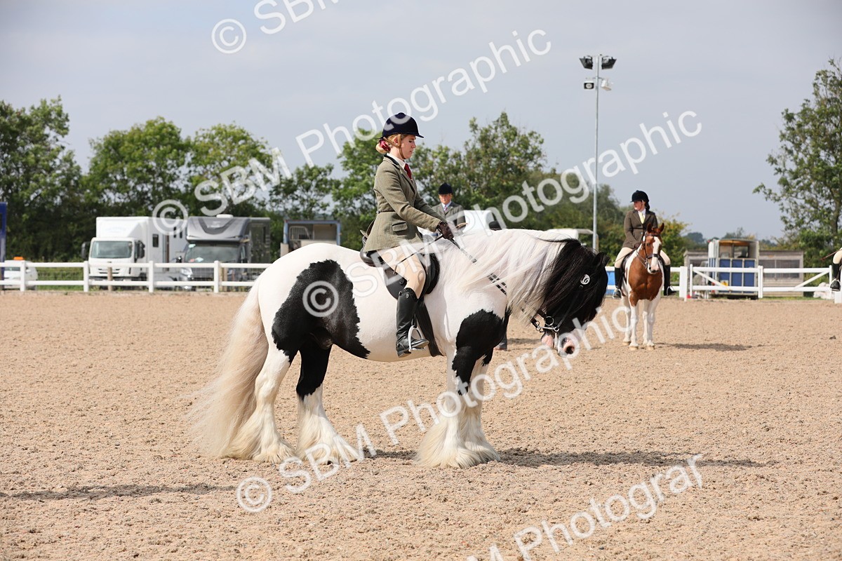 SBM_13367 - Class 308 Ridden Coloured Horse