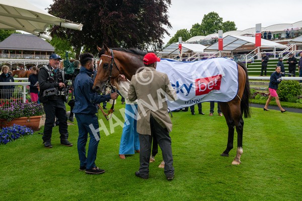 150624-Race 3-Klondike-4765 - Race 3 3.00pm Sky Bet Race To The Ebor Grand Cup Stakes
