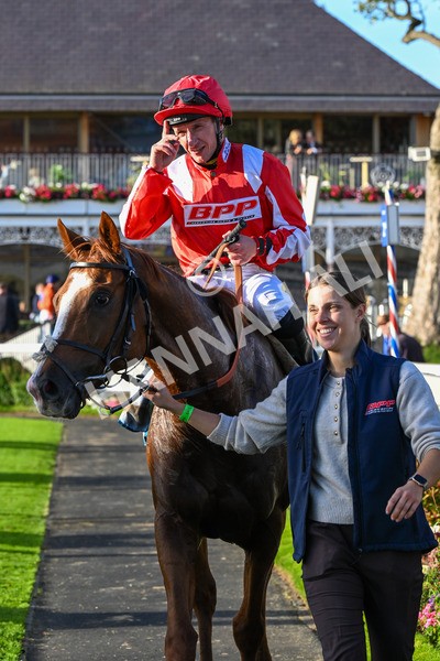 111025-Race 6-Berkshire Sundance-0669 - Race 6 Coral Racing Club Stayers Handicap at York