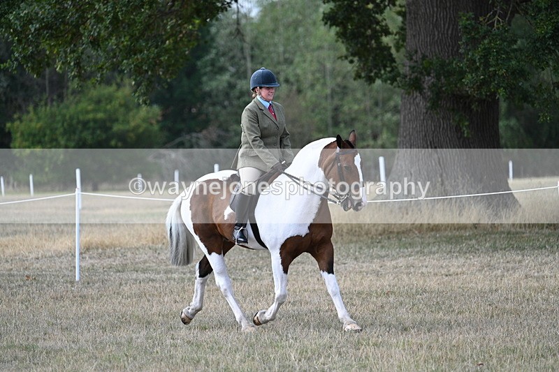 WJ7_6837 - Class 14 Ridden Coloured