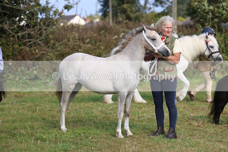 3E7A3215 - Class 12: M & M Small Breeds