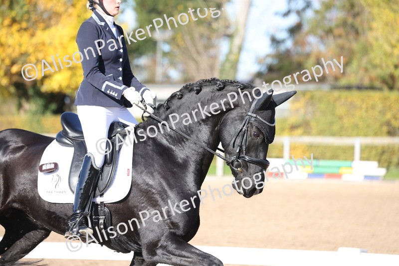 20251102-0551 - Class 3 - Novice 5