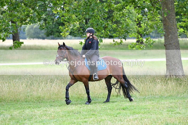 WJ5_9833 - Time at Jump 09:22 to 10:43