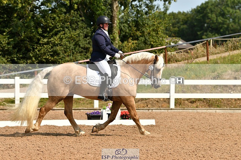 250817-112642-08581 - 216-Chloe.WaltonHaytors.Lord.of.the.Dance