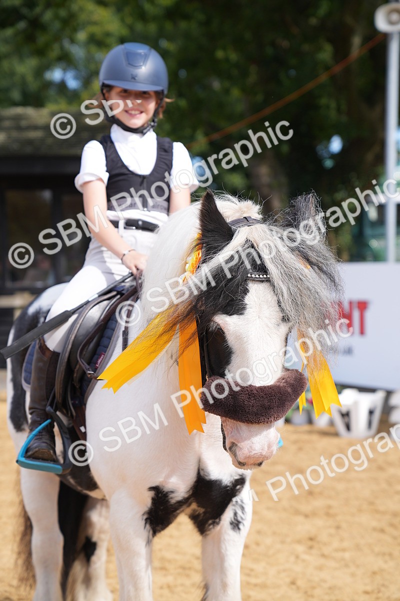 SBM_65881 - J2 - Mini Tour Junior Pony 30cm Championship